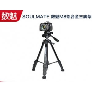 Small 202012021452292464