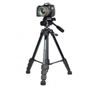 Small 202012021452355006
