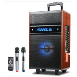 Small 202011251513194934