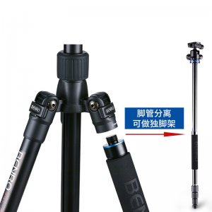 Small 202008051054142532